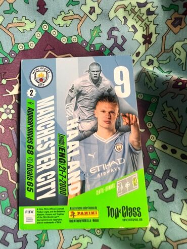 dim informatika pdf 2024: Panini Top Class card 2024