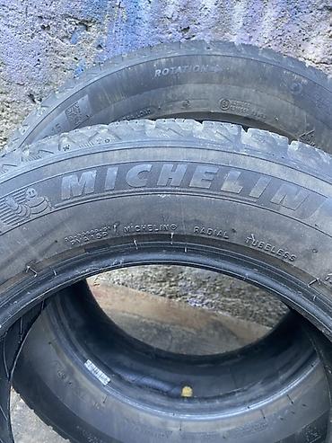 d 110: Шины 195 / 65 / R 15, Зима, Б/у, Комплект, Легковые, Michelin — 2