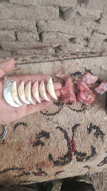 Кулоны и подвески: Кулон, Унисекс, Форма: Животные — 9