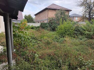 Продажа участков: Продается: участок ▪️Район: Гоин ▪️Участок: 5сот ▪️Документы: красная