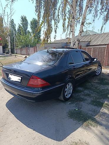 accord 2000: Mercedes-Benz S-Class: 2001 г., 5 л, Автомат, Бензин, Седан — 5