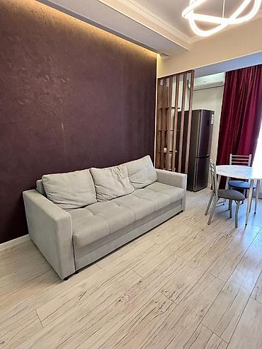 Долгосрочная аренда квартир: Студия, С мебелью полностью — 12