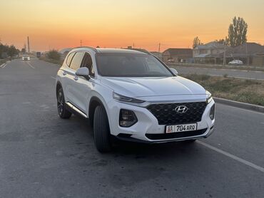 hyundai santa fe 2010: Hyundai Santa Fe: 2018 г., 2 л, Автомат, Дизель, Кроссовер