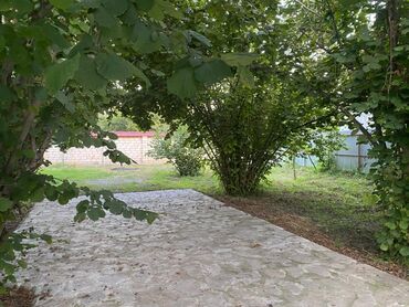 Bağ evlərinin satışı: Bakı, 1200 kv. m, 5 otaqlı, Hovuzsuz, İnternet, Artezian quyusu, Su -da lalafo.az — 5 Bağ evlərinin satışı: Bakı, 1200 kv. m, 5 otaqlı, Hovuzsuz, İnternet, Artezian quyusu, Su — 5