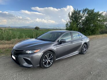 куплю котализатор: Toyota Camry: 2019 г., 2.5 л, Автомат, Бензин, Седан