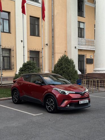 форд раптор цена бишкек: Toyota C-HR: 2019 г., 2 л, Типтроник, Бензин, Кроссовер