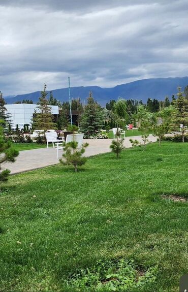 дом шопок: 1 комната, 55 м², Элитка, 1 этаж, Дизайнерский ремонт