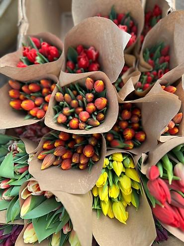 Букеты из живых цветов: Тюльпаны оптом только до 6марта ! Свежие хрустящие сортовые — 2