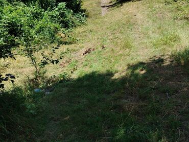 Torpaq sahələrinin satışı: Tikinti — 10