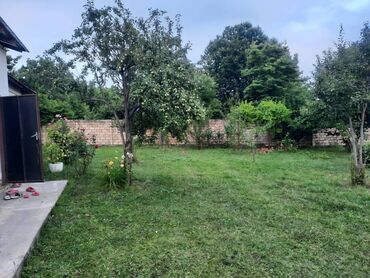 binə əmlak mərkəzi: 5 sot, Biznes üçün, Kupça (Çıxarış)