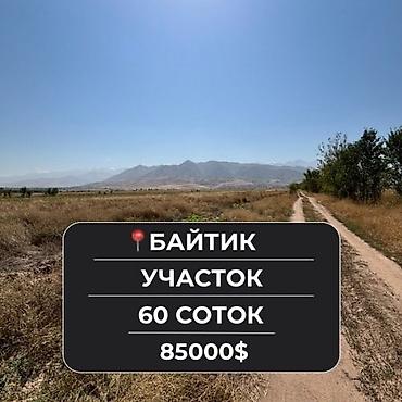 60 соток, Для бизнеса