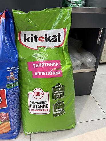 в зоомагазин: Сухой корм для кошек Kitekat «Телятина аппетитная». Подходит для — 1