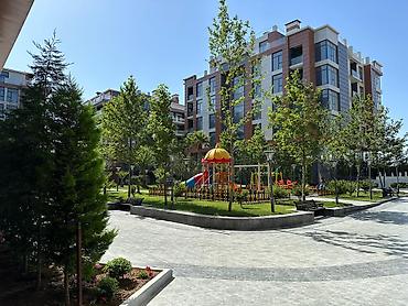 salyan: Bayıl, 1 otaqlı, Yeni tikili, 50 kv. m — 5