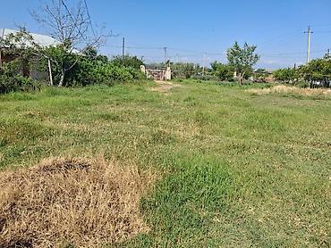 evlerin satisi 2022: TƏCİLİ Satılır: Həyət evi və geniş torpaq sahəsi - Tikili — 6
