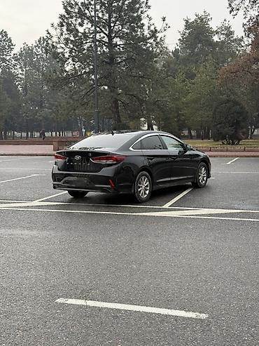 Hyundai: Hyundai Sonata: 2020 г., 2 л, Автомат, Газ, Седан — 4