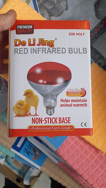 demir qapi bezekleri: Yeni, İnfraqırmızı lampa, 150 Vt, Zəmanətli, Rayonlara çatdırılma — 1