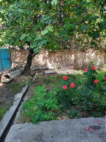 Продажа домов: Дом, 73 м², 5 комнат, Собственник, Косметический ремонт at lalafo.kg — 3 Продажа домов: Дом, 73 м², 5 комнат, Собственник, Косметический ремонт — 3