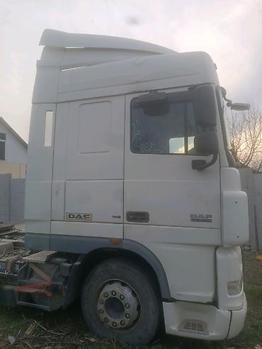 Тягачи: Тягач, DAF, 2008 г., Без прицепа — 4