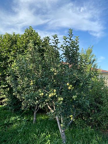 Продажа коттеджей и домов: Продается резиденция в районе «Ново-Покровка». 📕 18 соток участок по — 5