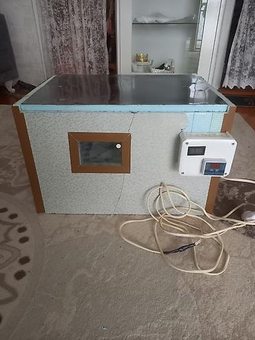 100 yumurta, Azərbaycan, Bütün növ quşlar üçün