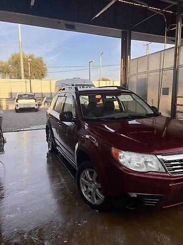 мухобойник: Subaru Forester: 2008 г., 2.5 л, Автомат, Бензин, Универсал — 1