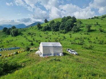 Bal: Müalicəvi Göyçay qaratikan balı 100% tam təbii baldır. Süzülmə bal — 2