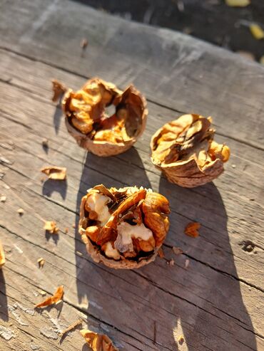 грецкие орехи: Продаю орехи,тонкокорые, сухие, крупные