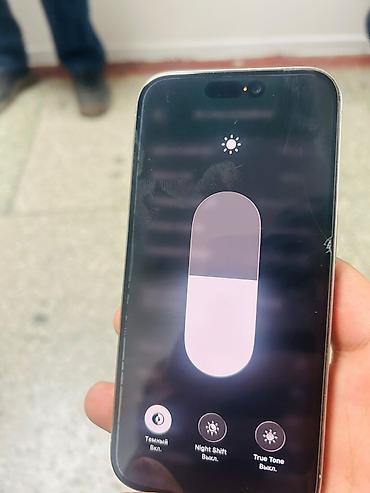 true: IPhone 15 Pro, 256 ГБ, цвет светло‑серый (Titanium) - Модель: iPhone — 3