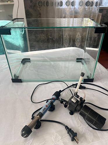 akvarium azn: Şüşə akvarium dəsti, hamisi biryerde 40 azn qizidirici filter — 1