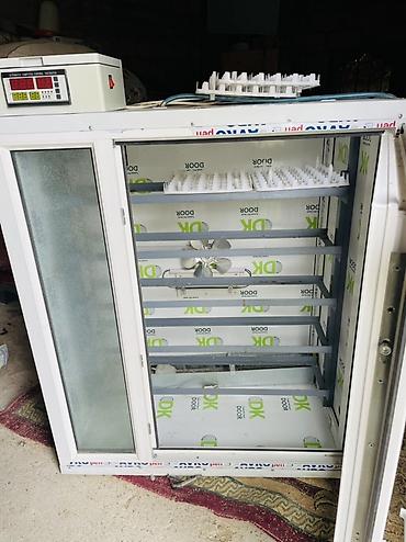 ingubator: 1056 ədəd tutumlu Tam avtomatik inkubator unversaldı 2 defe işlənir — 1