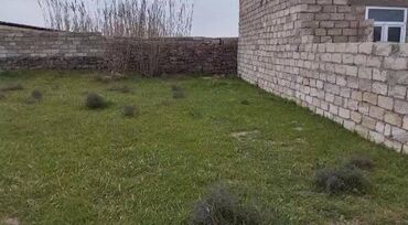 torpaq satisi elanlar: Sabunçu rayonu, Maştağa qəsəbəsi, Albalılıq-2 bağ massivində