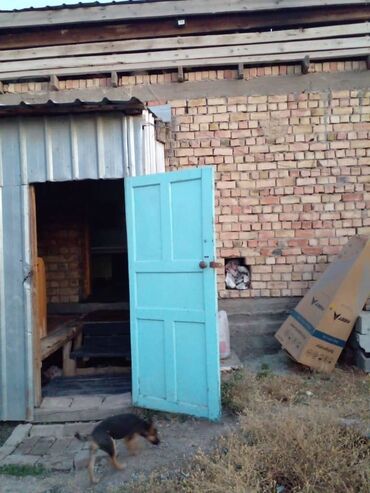 аренда домов долгосрочное: 60 кв. м, 2 бөлмө, Жертөлө, ороо, Забор, тосулган