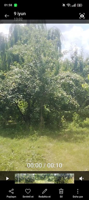 pirşaği torpaq: 15 sot, Mülkiyyətçi, Kupça (Çıxarış) — 1