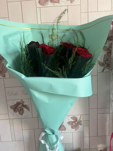 арзан буйумдар: Көчөттөр гүлдүн: Розалар