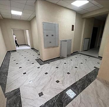 Продажа квартир: 1 комната, 31 м², Индивидуалка, 9 этаж, Евроремонт — 12