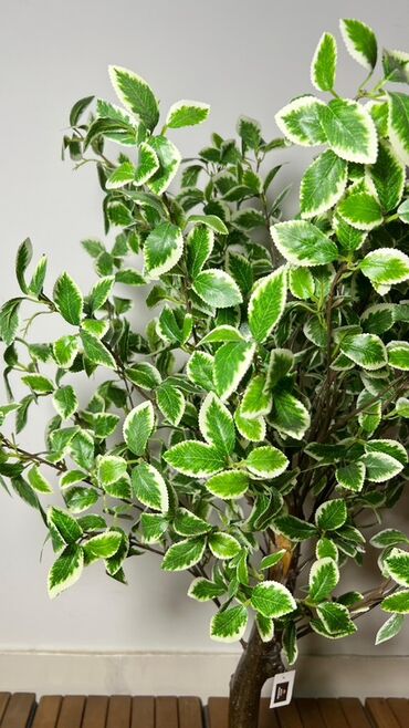 Süni güllər: Dekorativ süni ağaclar dəsti - Model 1: Varlıqlı yarpaqlı dekorativ — 2