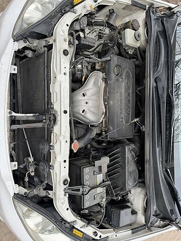 Toyota: Toyota Ipsum: 2003 г., 2.4 л, Автомат, Бензин, Минивэн — 9