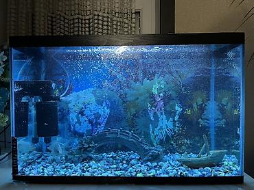 akvarium qiymeti: Akvariumun üst qabaq şüşəsinin bir hissəsi yoxdur.İstənilən şüşə zoo — 3