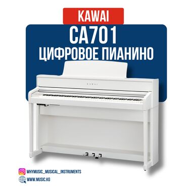 купить пианино немецкое: Цифровое пианино Kawai CA701 Kawai CA701 — это передовая модель серии