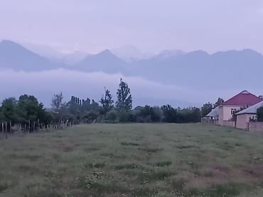 Torpaq sahələrinin satışı: 87 sot, Tikinti, Mülkiyyətçi, Kupça (Çıxarış) — 11