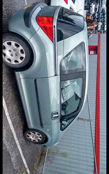 reno clio 1: LIMARIJA ZA PEUGEOT 1007 | Limarija za peugeot 1007 kao i dosta — 2