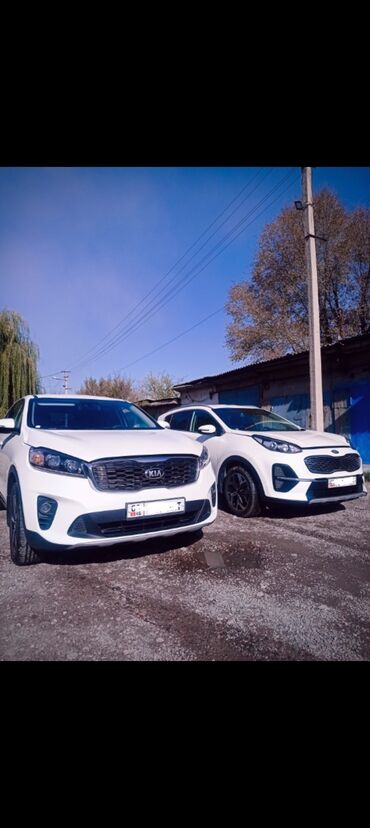 новая машина: Kia Sorento: 2019 г., 2 л, Автомат, Дизель, Внедорожник