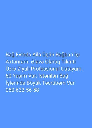 Bağban, 60 yaş, 5 ildən artıq təcrübə