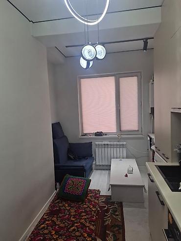Продажа квартир: 1 комната, 33 м², Элитка, 7 этаж, Евроремонт — 4