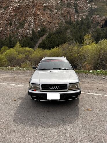 Audi: Audi 100: 1992 г., 2.3 л, Механика, Бензин, Универсал