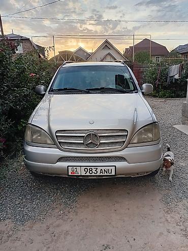 полный комплектация: Mercedes-Benz ML (W163) — интерьер и оснащение - Салон из черной — 9