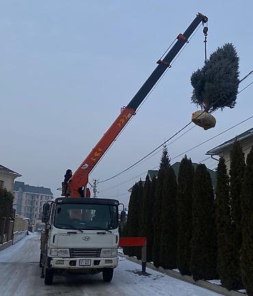 тирактир 80: Услуги крана манипулятора стрела 18 метров стрела минусовая может — 1