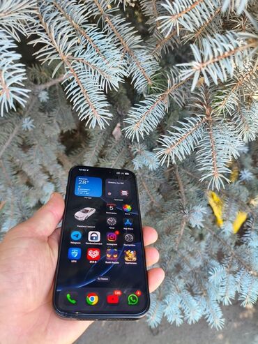 дисплей айфон 11 про макс: IPhone 15 Pro Max, Black Titanium