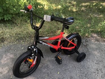 велосипед двухколесный детский: Giant Animator 12 Детский 2-5лет, рост до 105см, алюминиевая рама