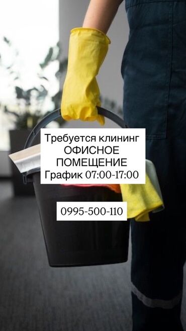 ремонт посудомоечных машин бишкек: Уборка помещений, | Офисы
